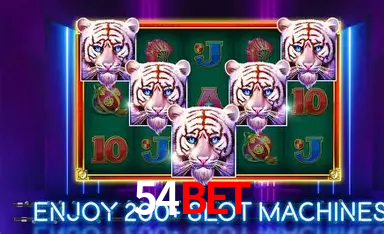 Cadastro rápido e seguro na 54bet